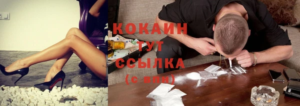 винт Козловка