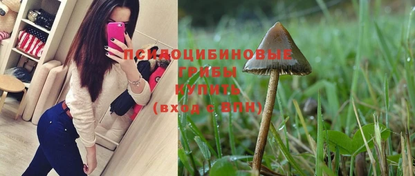 винт Козловка