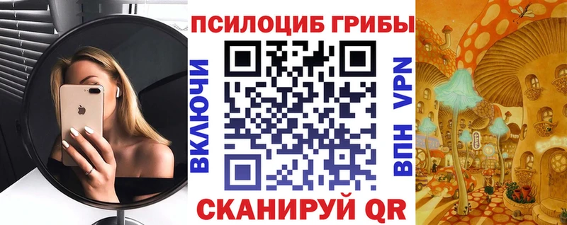 Купить где  Салехард  Псилоцибиновые грибы Magic Shrooms 