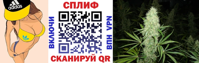 Канабис ГИДРОПОН  Купить закладки  Салехард 
